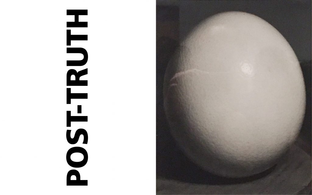 thisweek_16november16